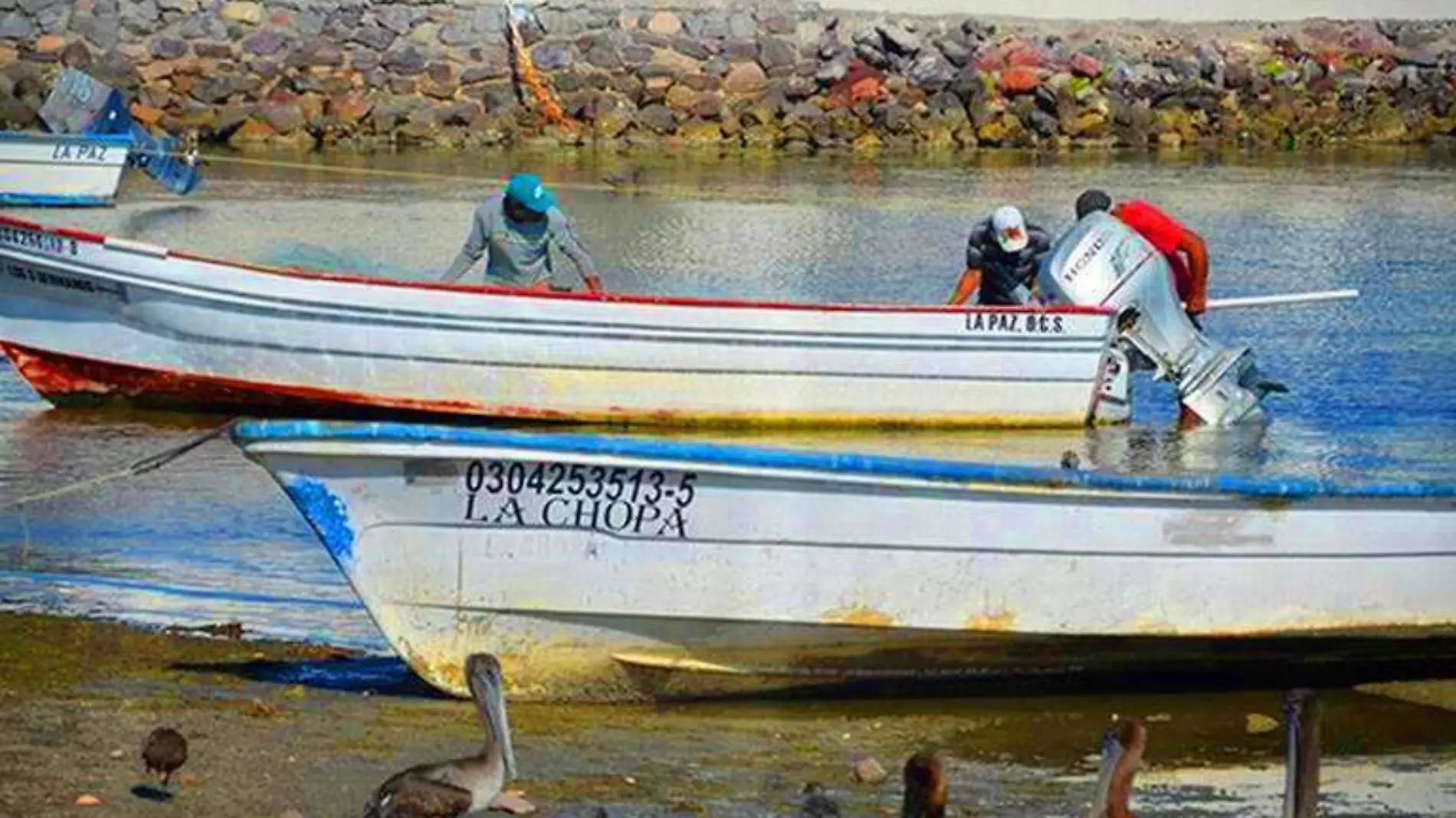 Foro Mar de Cortes Lancha Pescadores